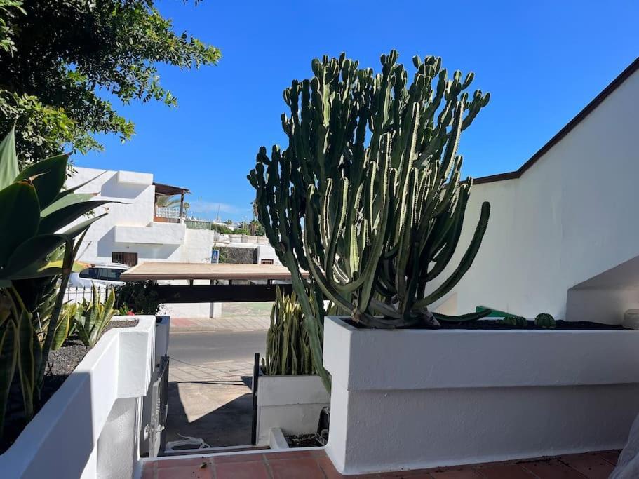 Paradise Playa Chica Con Terraza A 100M Del Mar Пуерто-дель-Кармен Екстер'єр фото